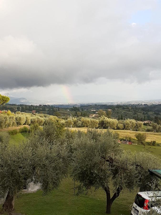 Casa Musa Capannori Eksteriør billede